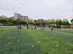 플라잉디스크활동 